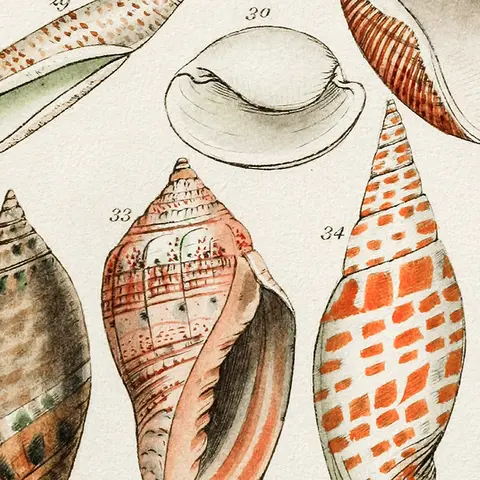 8 best sales समुद्र तट घर सजावट - №4