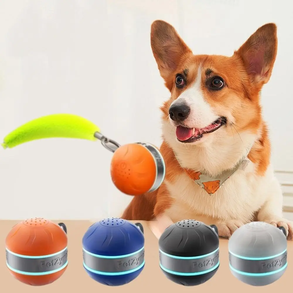

USB Rechargeable Interactive Cat Toy Ball Bite Resistant Rotating Cat Interactive Ball Anti-Depression with Tail