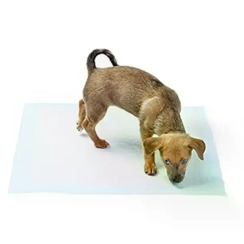 20/40/50/100 PCS Disposable Pet Training Pads Super Absorbent Core Leak Proof Edges For Puppy Cats Dogs Home Use