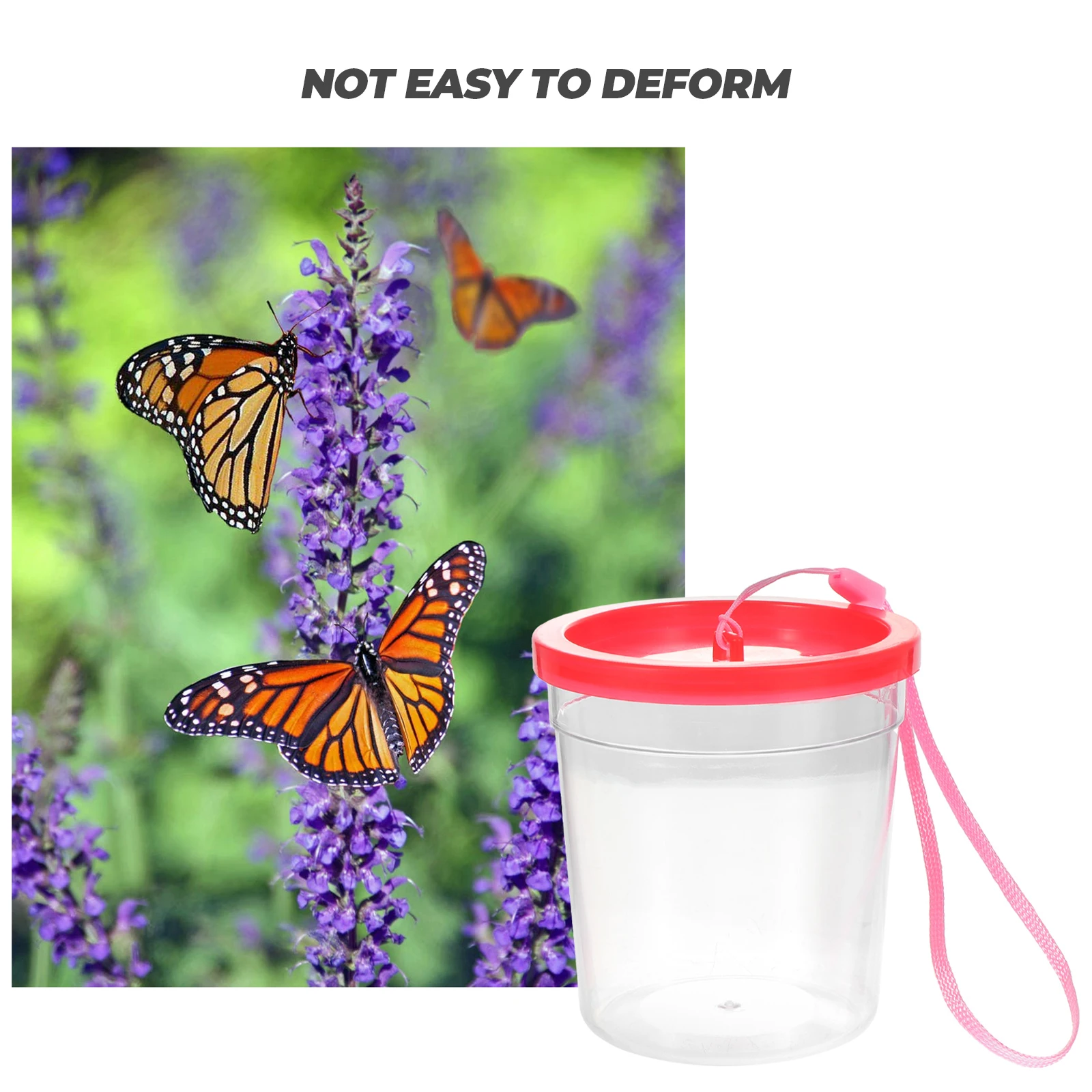 

Reptile Feeding Box Transparent Safety Design For Small Turtle Spider Scorpion Jellyfish Cup Insects Feeding Container Breeding