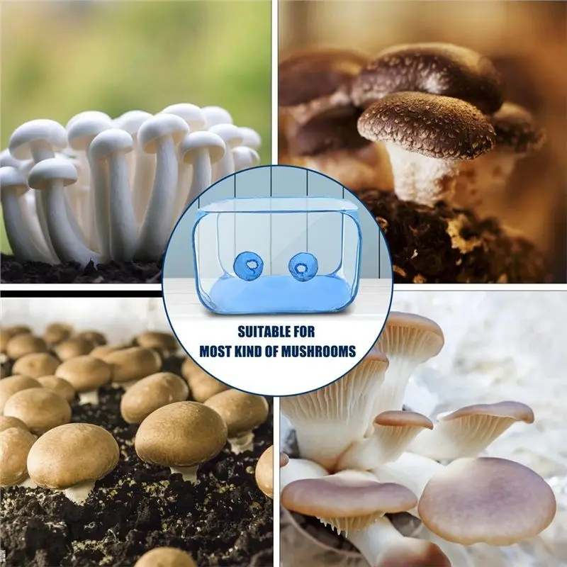 Special Mushroom Grow Tent Container, Portable Mushroom Growing Still Air Box, Foldable Up Mushroom Cultivation Tent A