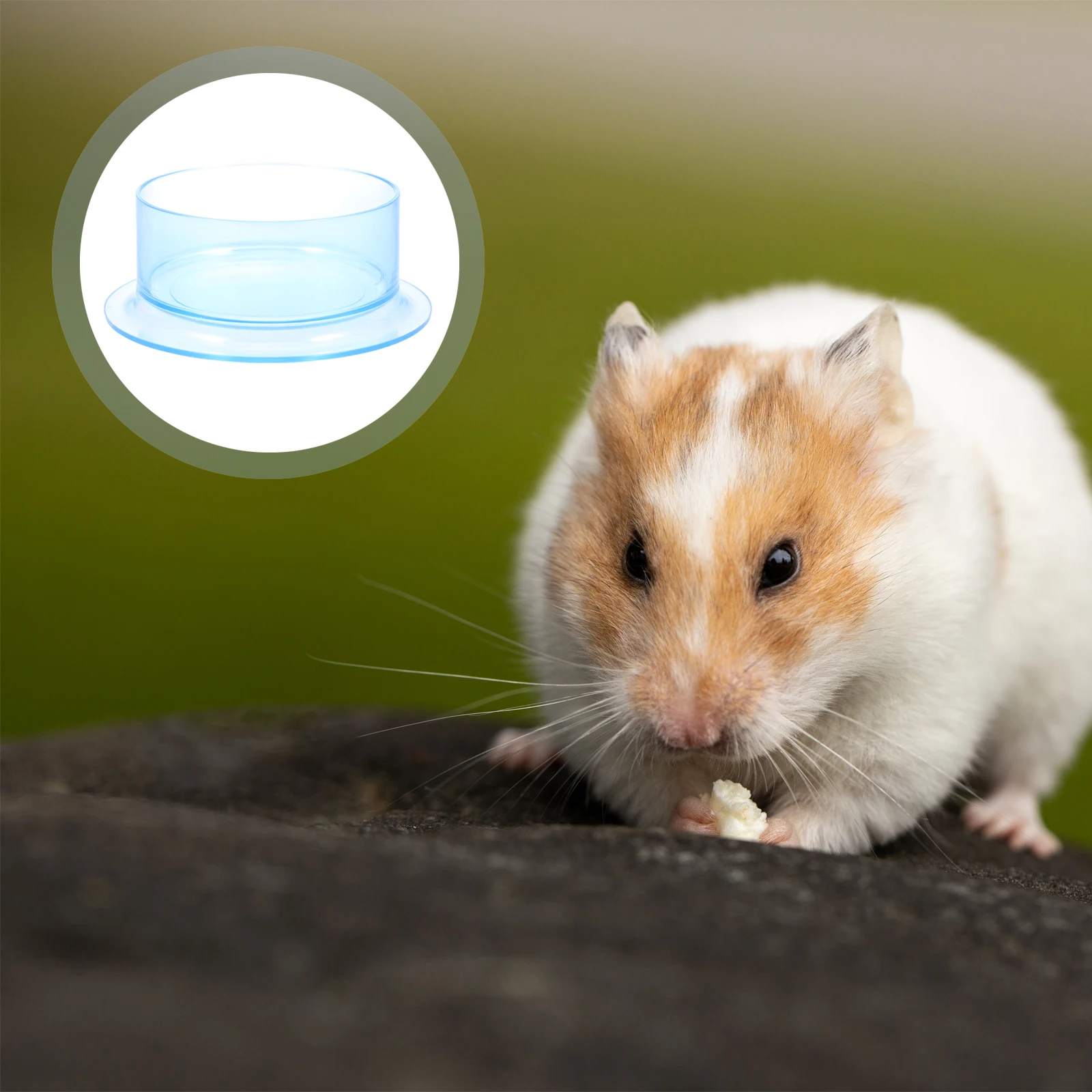 

2pcs AntiTip Bowls Durable Plastic for Hamsters Rabbits SmoothSurface SturdyBase MultiFunctional Feeder Pet Supplies