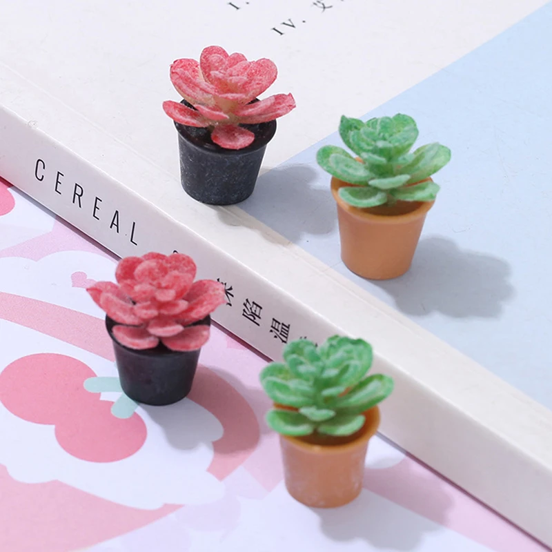 2Pcs Mini Potted Succulent Cactus Plant Model Toys Minaituare Dollhouse Accessories For Garden Scene Doll House Decoration