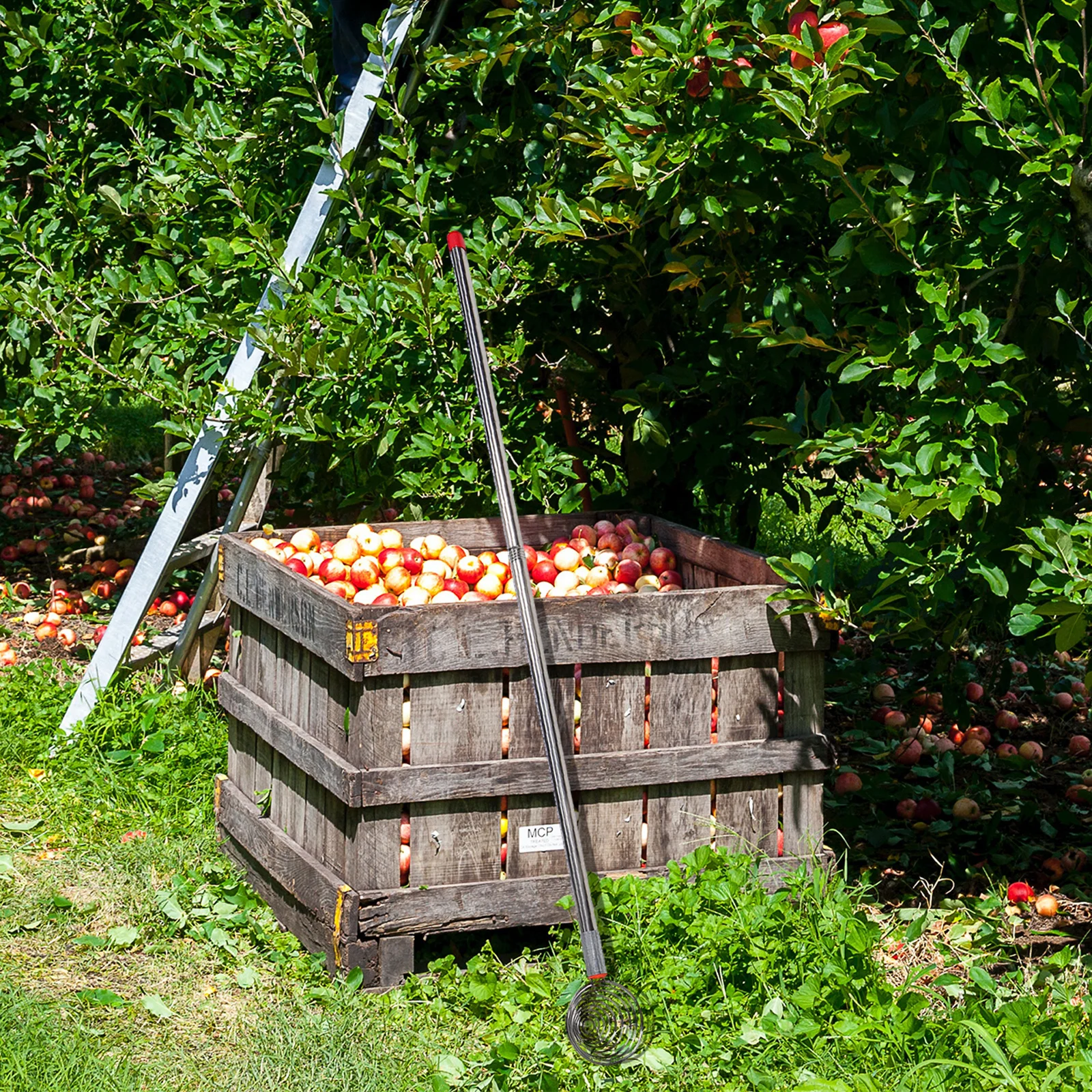 

42-Inch Egg Hand Grabber Stainless Steel Reacher Tool for Egg Collection Ergonomic Lightweight Farm Tool Ideal for Elderly