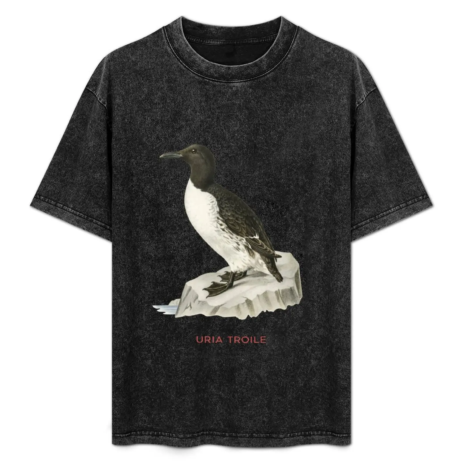 Camiseta Common murre ou Uria troile Plus Size solta de manga curta