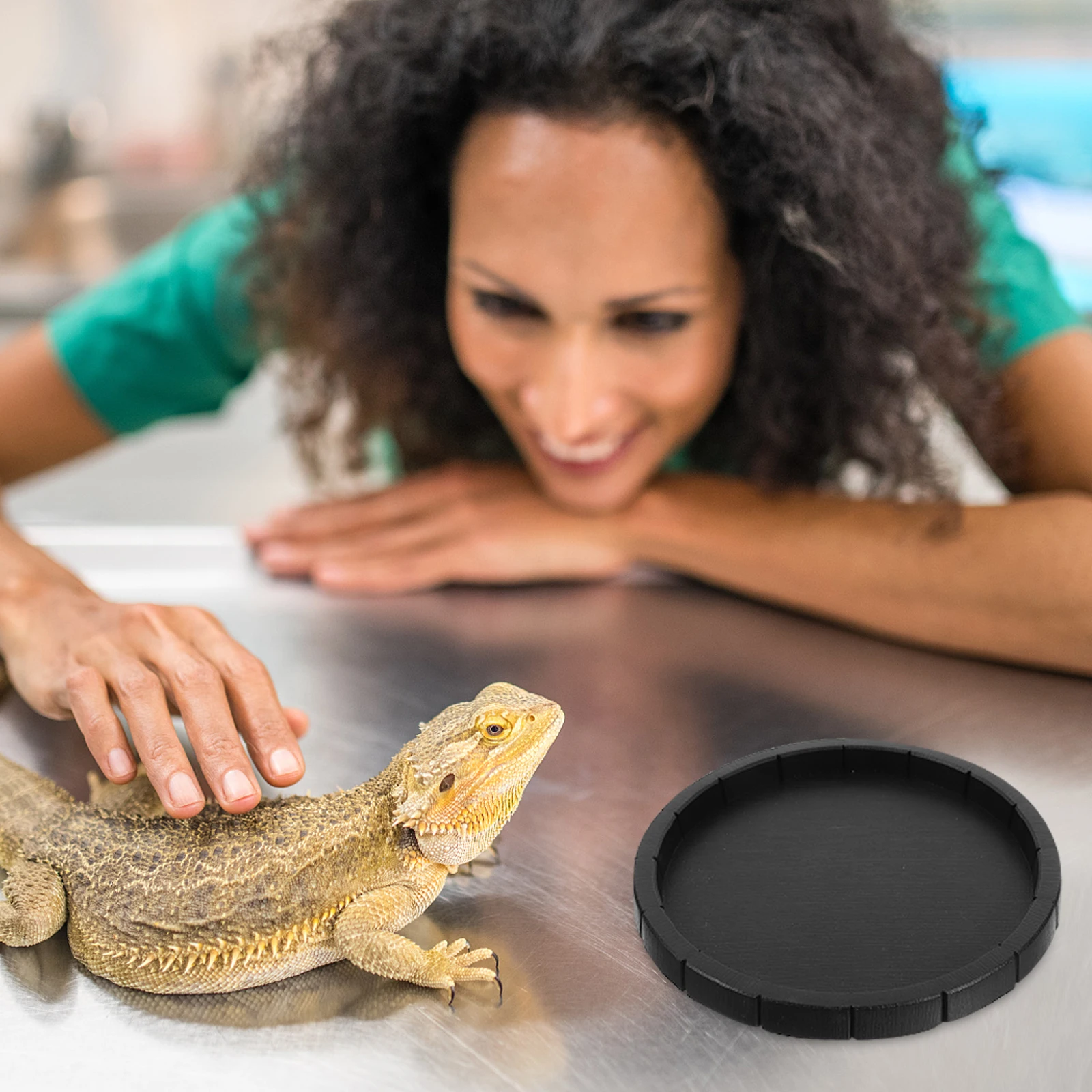 

Reptile Feeding Dish ABS Material Tortoise Plate Bowl Lizard Snake Chameleon Guinea Food Dispenser