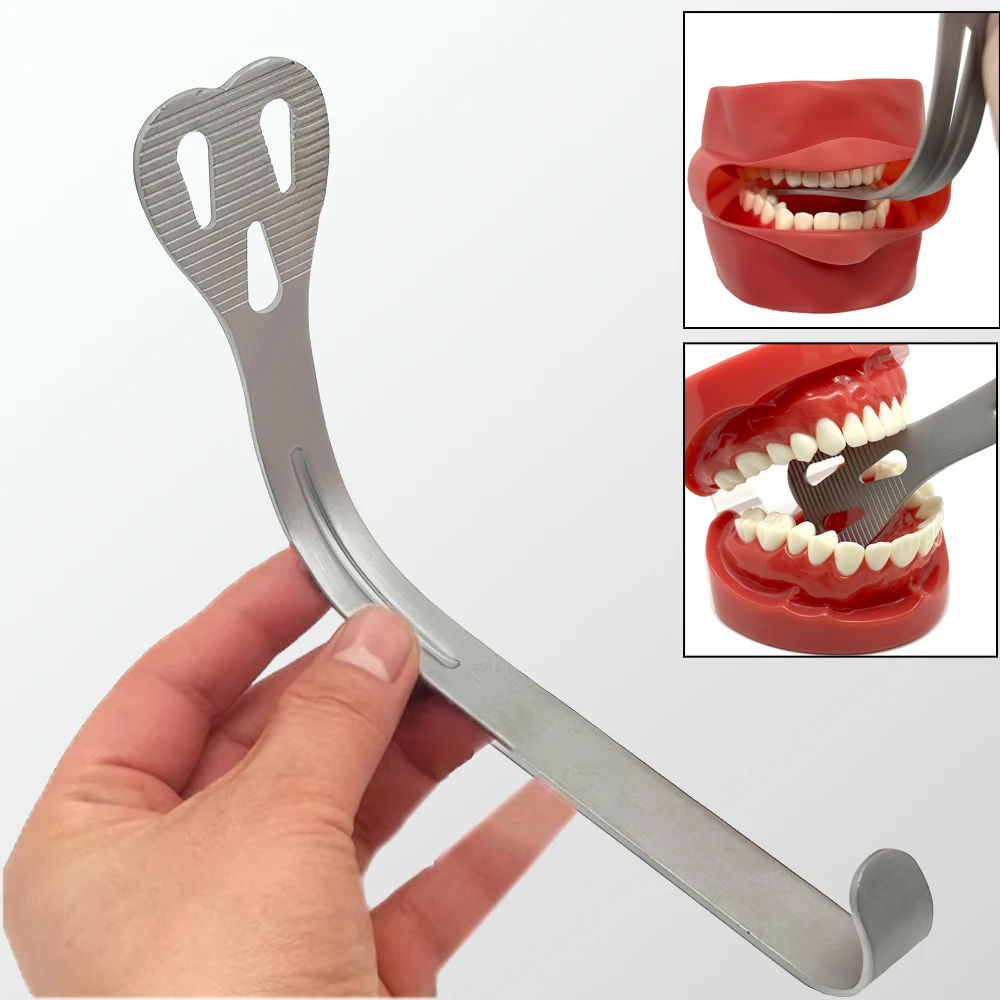 Dental Mouth Opener Stainless Steel Dental Lingual Isolation Retractor Mouth Retractor Dental Double-headed Retractor