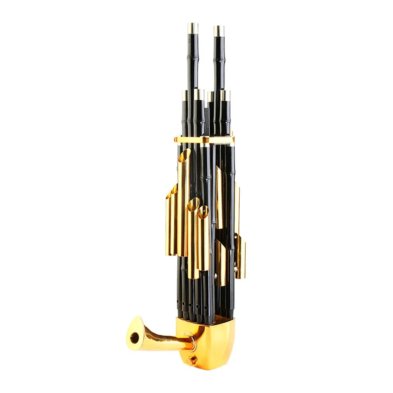 Traditional Chinese Sheng Instrument Flute D Tone, 14 17 21 Reeds Available,With Book and Bag