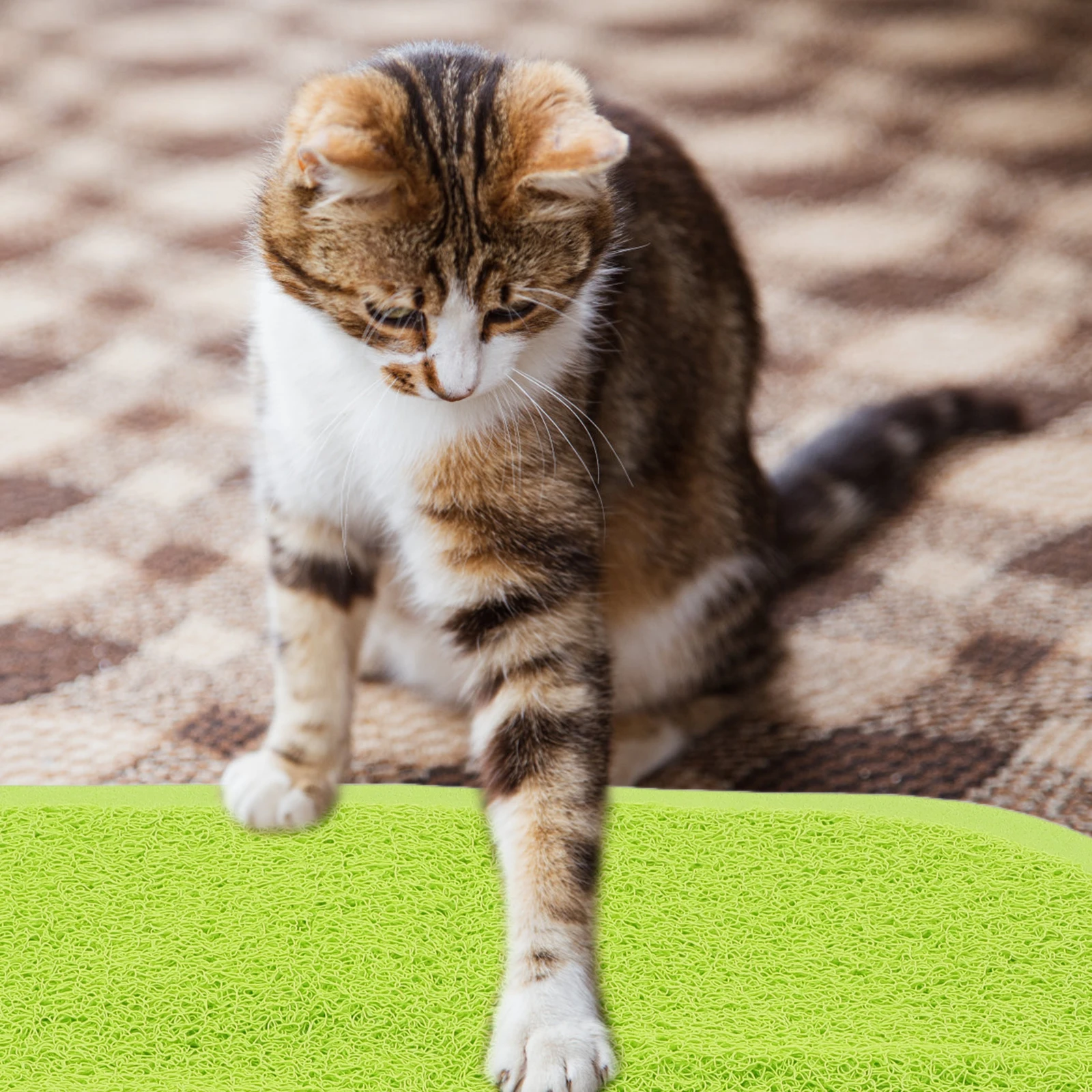 القط القمامة باو على شكل كبير عدم الانزلاق قابل للغسل الحيوانات الأليفة تغذية حصيرة للقطط الداخلية هريرة لوازم صندوق نفايات وسادة حصيرة