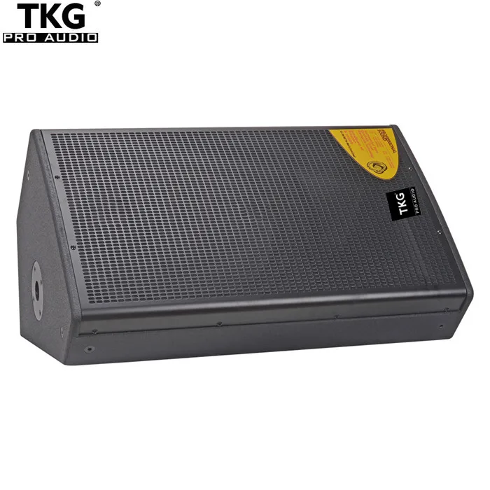 TKG 450 W 450 Watt Leistung professionelles Soundsystem Monitor Lautsprecher Bühne 15-Zoll-Lautsprecher