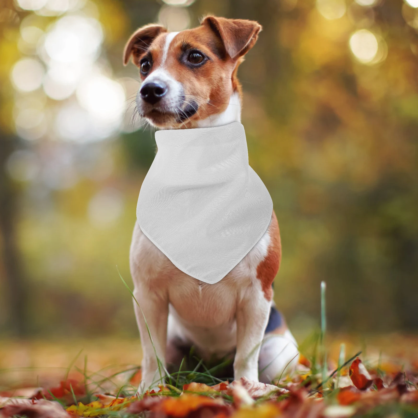 

4Pcs Dog Outdoor Dog Scarf Polyester Comfort Scarves Large Dogs Simple Color Adjustable Outdoor Pet Triangle Accessory