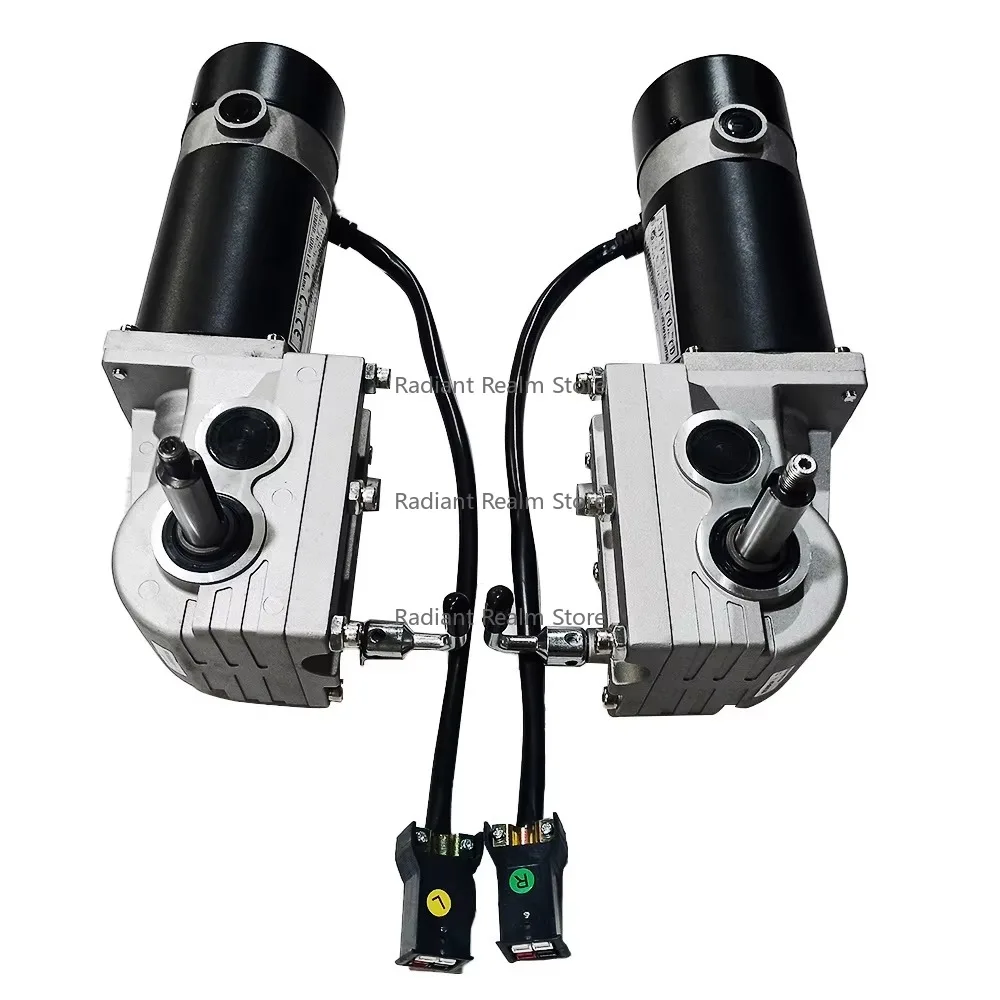 

Magnet 250W Waterproof Electric Brush 24v Gear Dc Motor for Electric Power