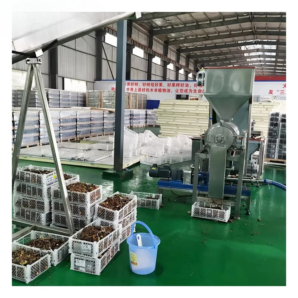 3000KG/H Virgin Avocado Oil Extraction Machine By Centrifuge Extraction Method Cold-pressed Oil Extraction Machine