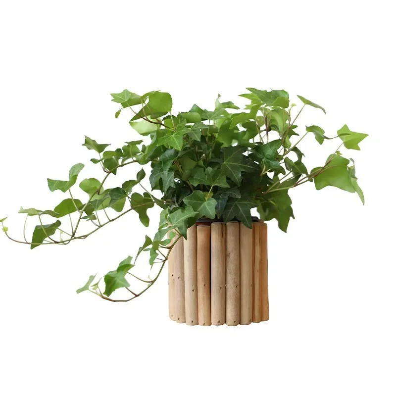 retro small vase ornament, entrance living room flower arrangement desktop creative hydroponic soil green plant ivy