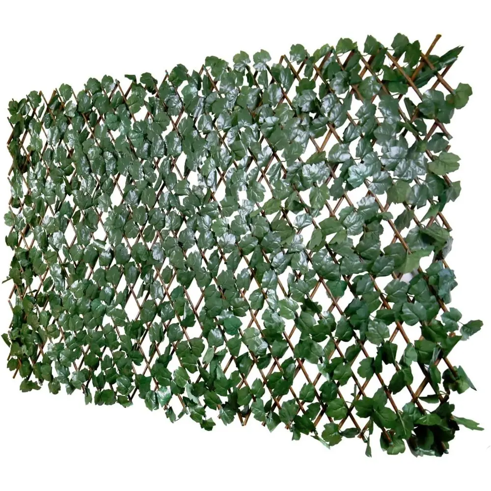 Expandable Artifici…