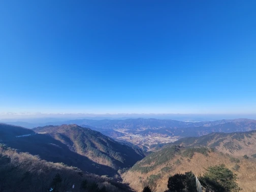 구매후기