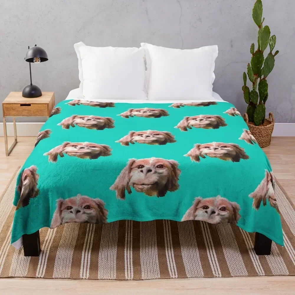 

Falkor a Luck Dragon Premium Throw Blanket Cozy Throw Blanket for Bed Sofa Chair