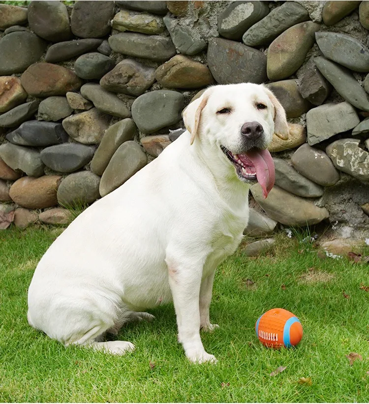 Pet dog toys  Latex soundtrack rugby football volleyball soundtrack toy bite resistant venting squeaky pet cat toy