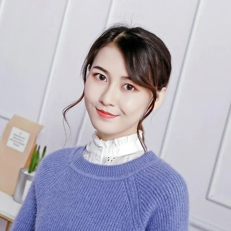 Half Shirt Fake Collar Embroidery Floral Striped Women Decorative Dickey Blouse 6XDA
