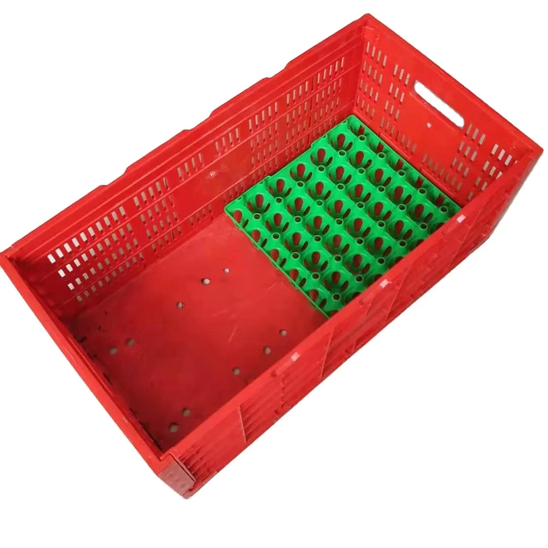 Plastic Quail Transport Crate For Farming Poultry Equipment PH270