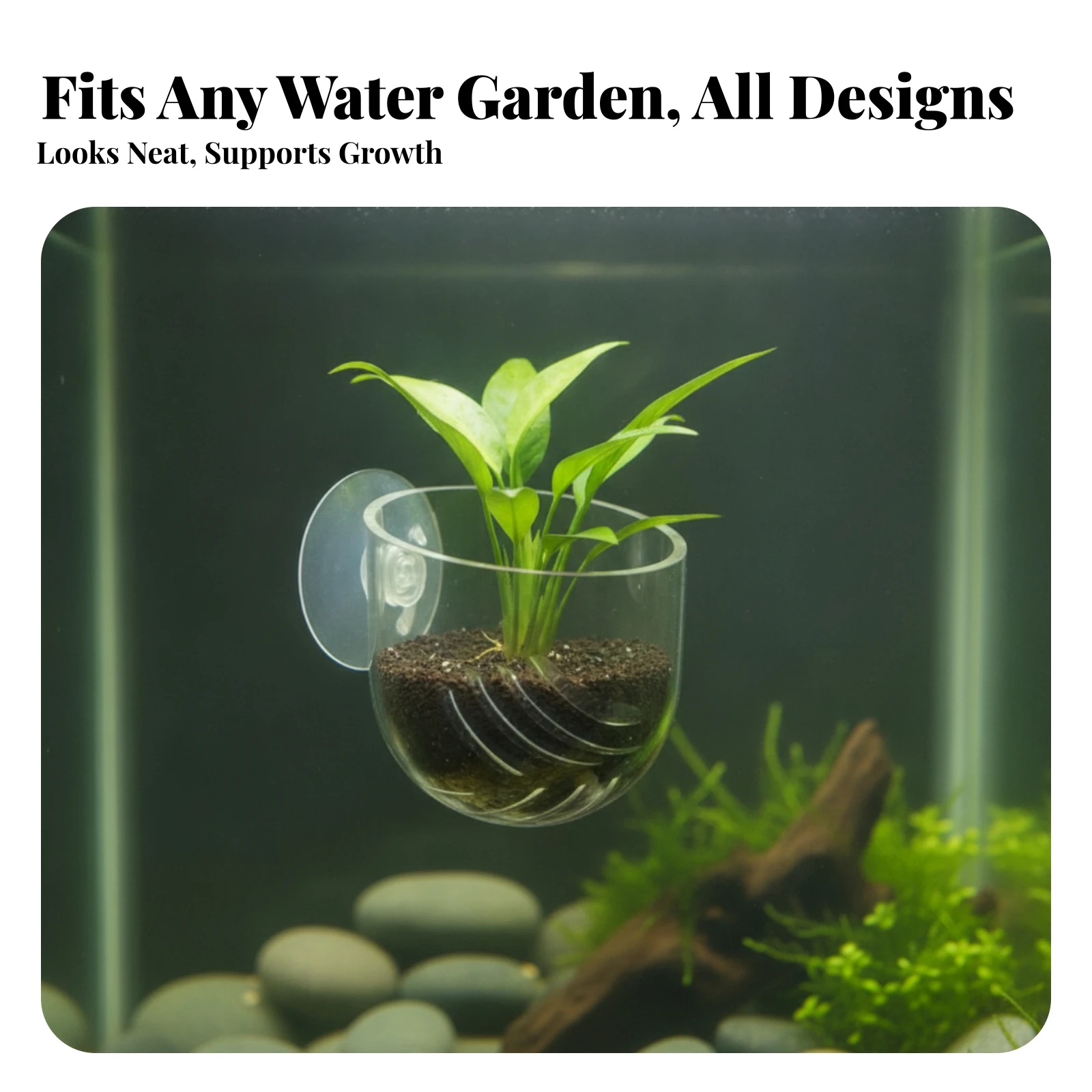 3 Pieces Aquatic Plant Pot Slim Aquatic Tank Plant Holder with Suction Cups Aquarium Cup with Suction Cup Space-Saving