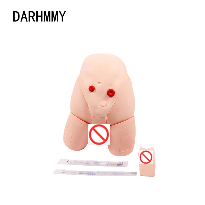 DARHMMY Male and Female Gender Catheter Models Interchangeable Catheter Models