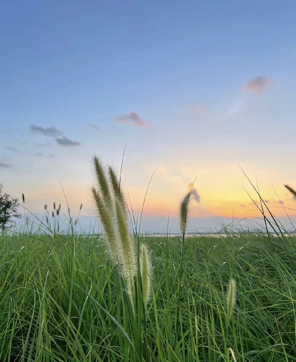 

2025 Fat Burning Equipment 200Hz EMS Upgrade Body Sculpt Emszero15 Tesla RF Sculpt Therapy Machine Professional Build Muscle