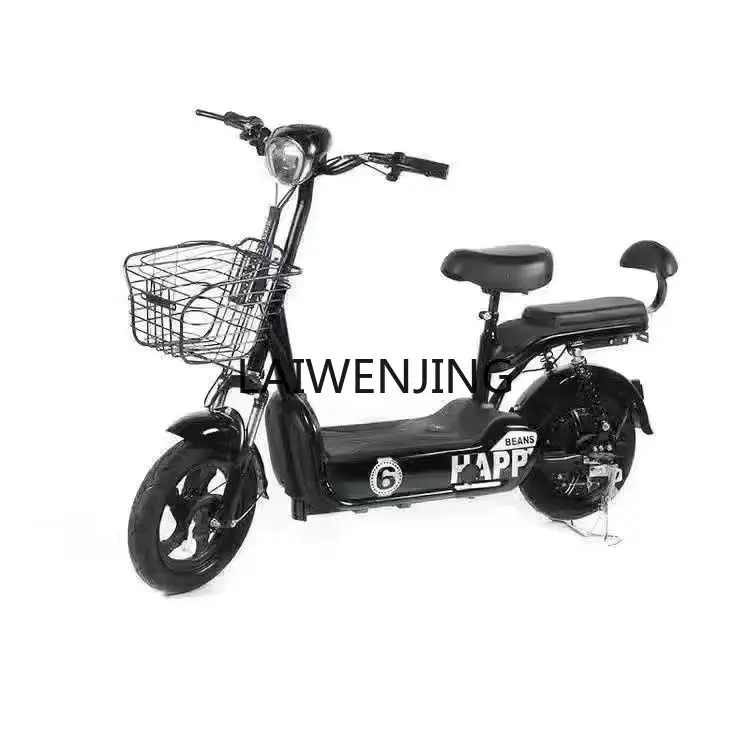 

HLZ 48 Volt Double Small Electric Vehicle Adult Two-Wheeled Electric Vehicle