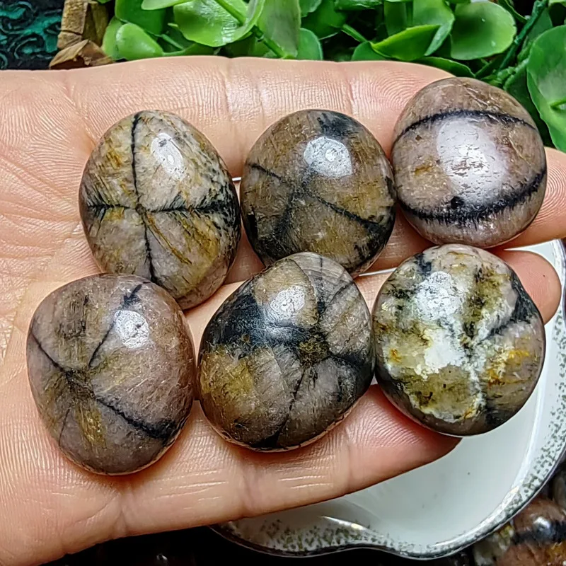 

Chiastolite Tumbled Mineral Rocks Gift Freeform Natural Fairy Cross Stone Specimen Polished Andalusite Quartz Crystal Grid Pagan