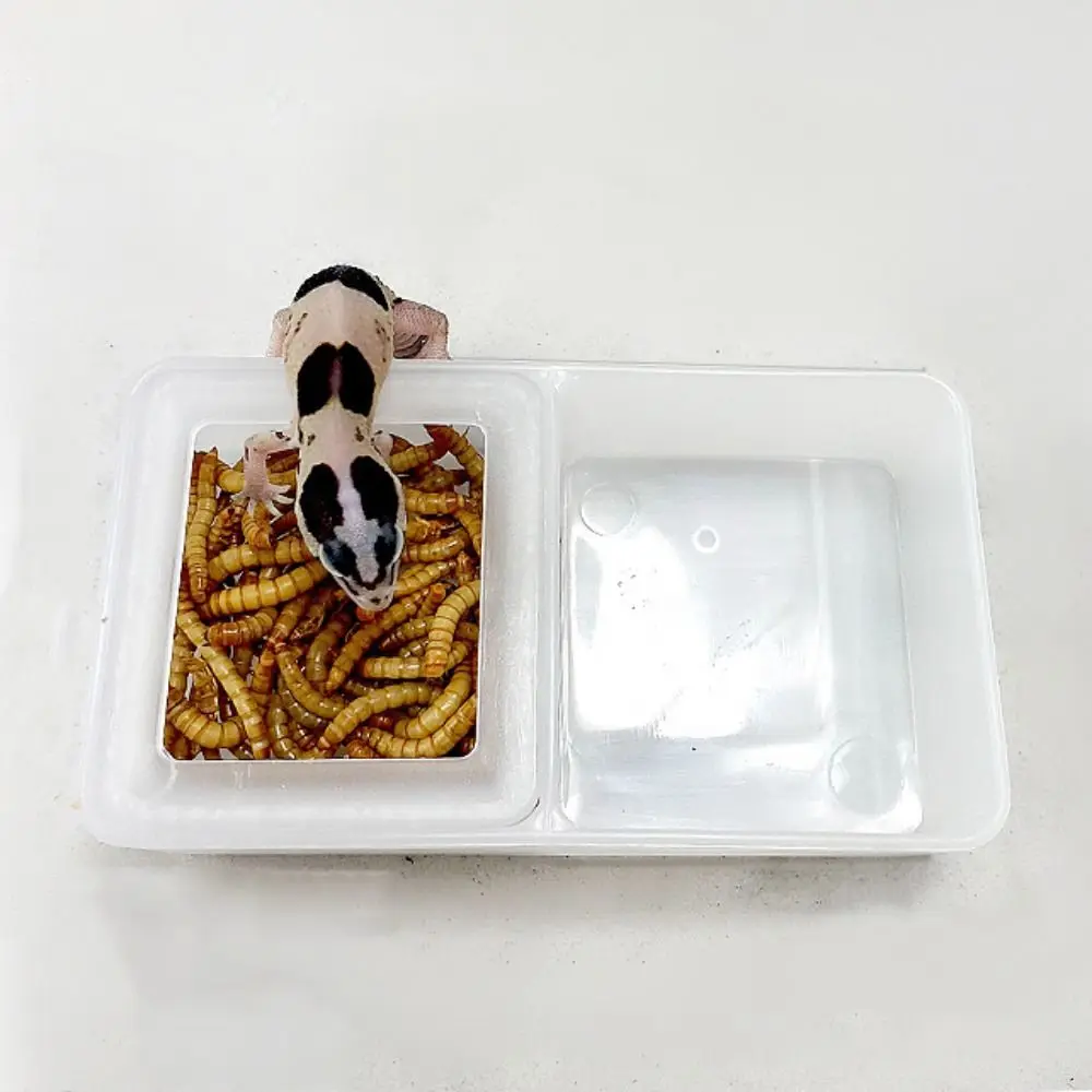 

Reptile Tank Black/White Plastic Breeding Feeders Box Anti-escape Double Box Reptile Feeding Bowl Plastic 2 in 1 Worm Dish Snake