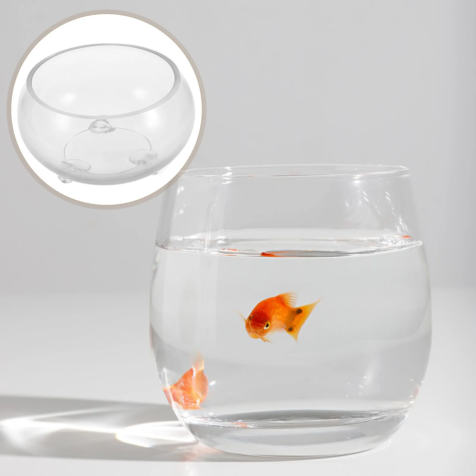 

Creative Round DIY Terrarium Glass Bowl Versatile Use Fish Aquarium Centerpiece Home Office Decor Easy Maintenance