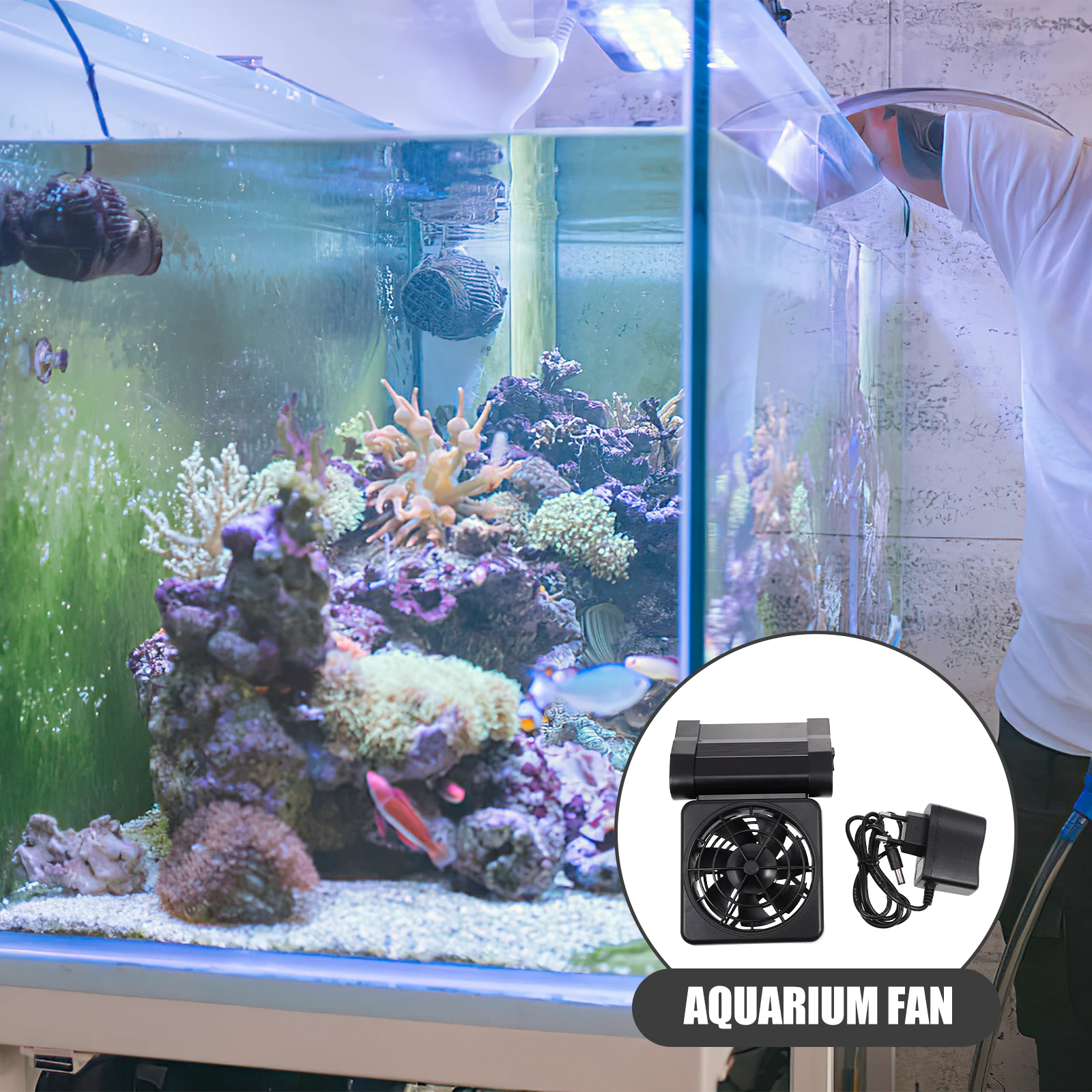 

Mini Fish Tank Cooling Fan Aquarium Chiller Low Noise Adjustable Angle Clip Water Cooler Supplies Pet Accessories