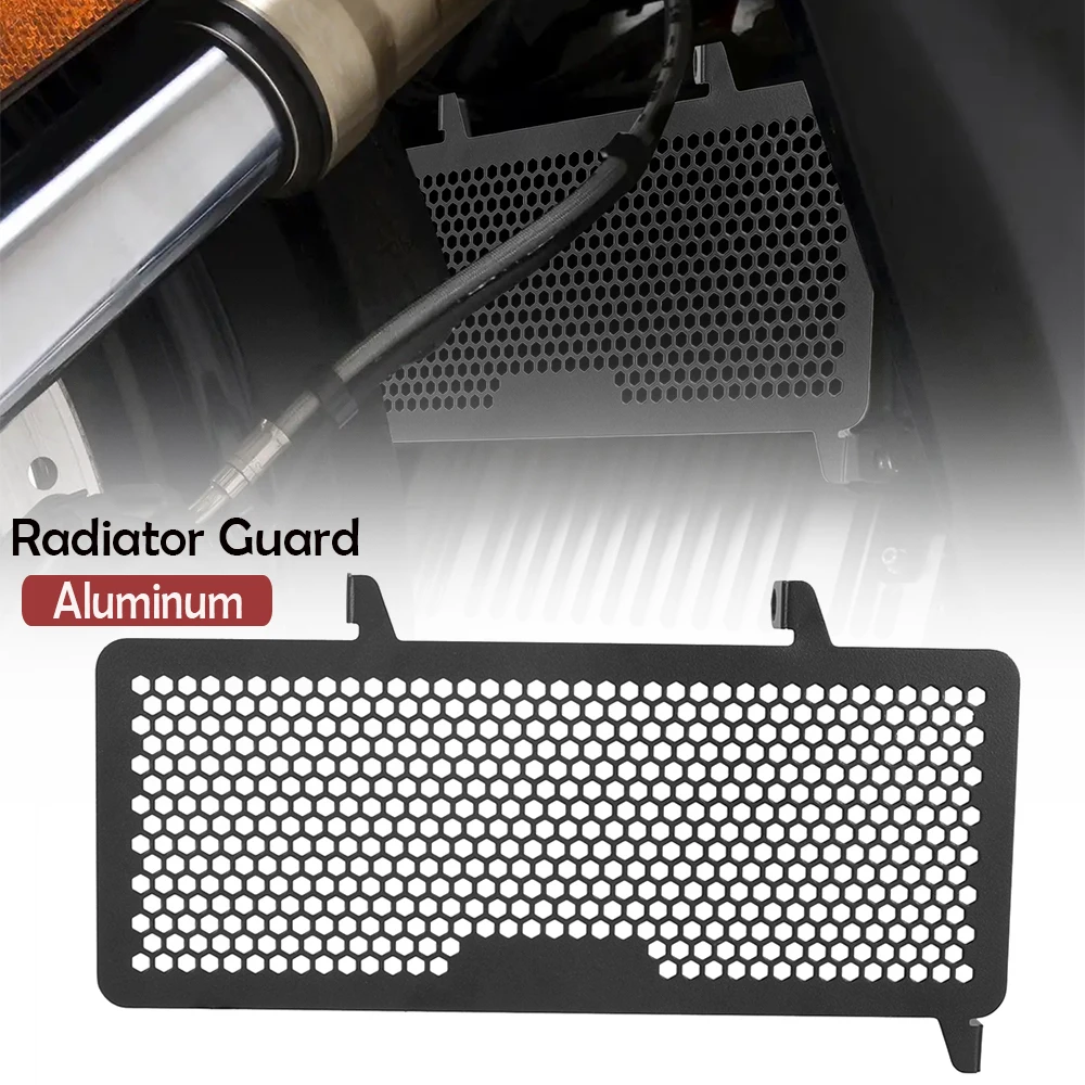 

Motorcycle Accessories FOR Energica EGO (+/+RS) / Eva Ribelle (RS)/ Eva EsseEsse9 '2021-2023-2024 Radiator Grille Cover Guard