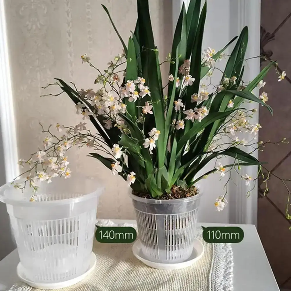 Transparent Flower Pot Clear Plastic Orchid Container Orchid Planter with Holes Breathable Slotted Plant Pot with Drainage