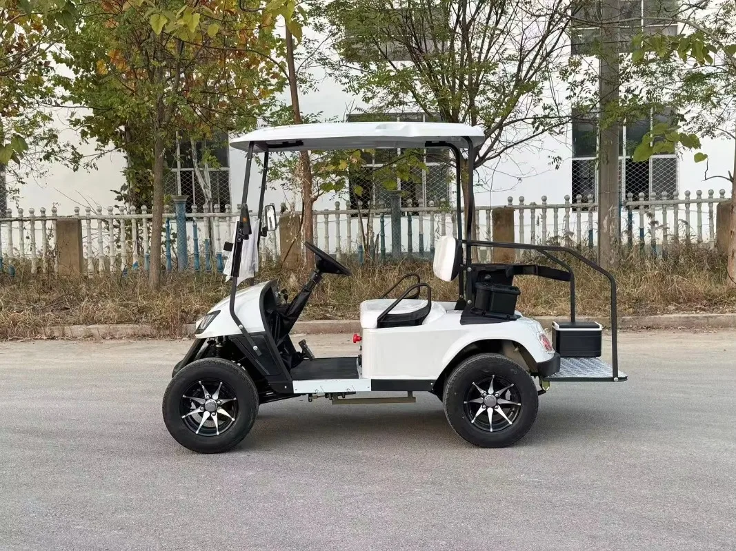 Airo CE DOT Certified Mini Golf Cart 2-Seat - Luxurious Seats, 60V 100AH, 100km Long Range for Resort