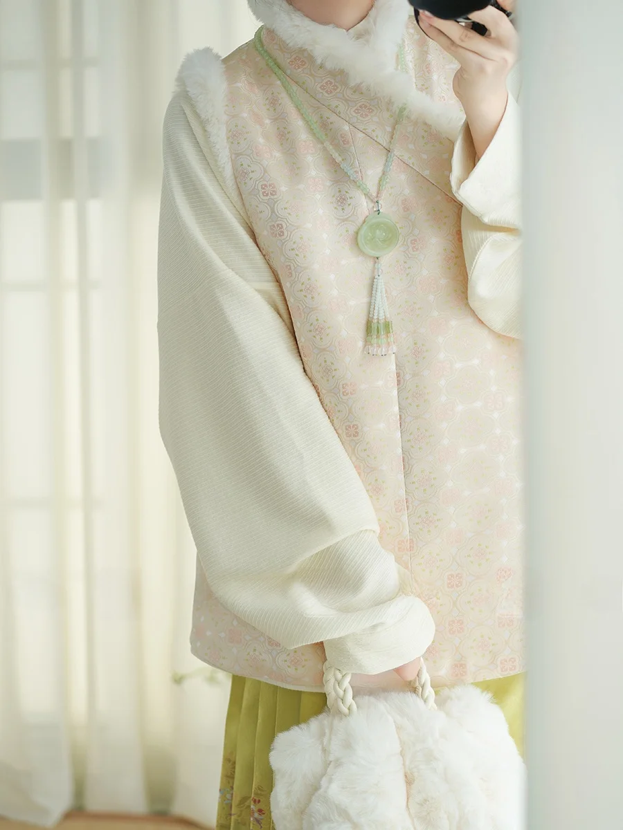 Original No Two Sets Ming Dynasty Daily Life Fleece Lined Warm Song Brocade I Bajia Hanfu Women's Traditional Chinese Clothing