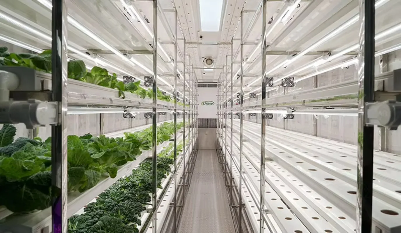 حاوية الزراعة الذكية حاوية الزراعة المائية حاوية المزرعة حاويات شحن الزراعة العمودية