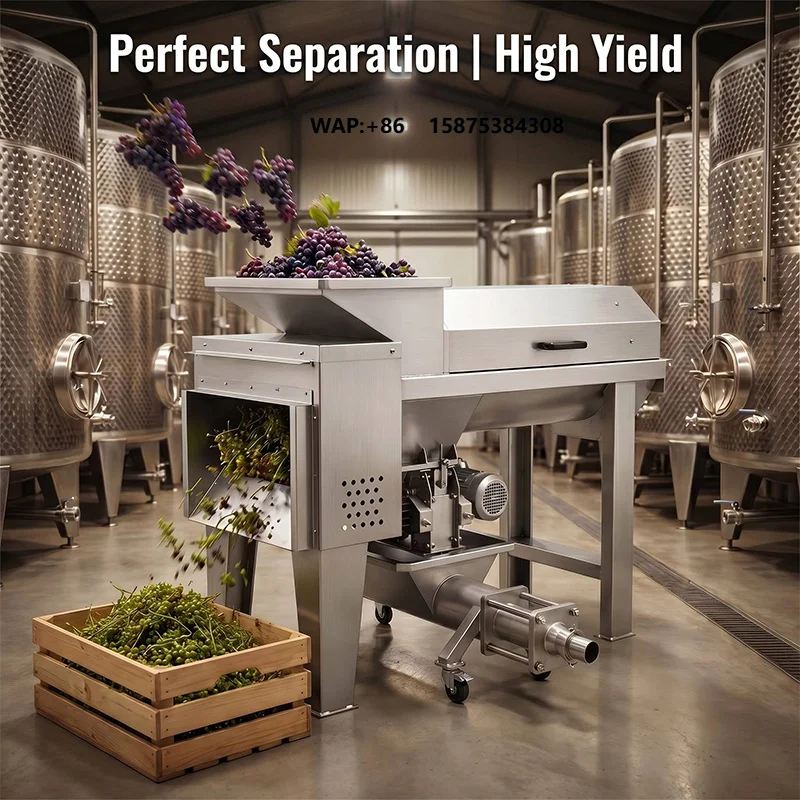 HN QDMECH Professional Large Capacity Commercial Juice Factory Grape Washing and Destemming Machine Grape Crushing Machine