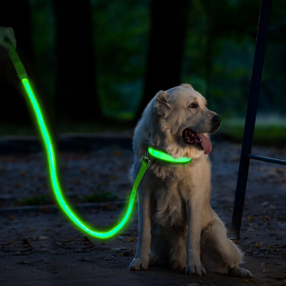 Dog Accessories Light Up Dog Leash Led Illuminating Led Dog Nylon Pet Rechargeable Led Leash