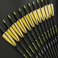 6/12ps Archery Pure Carbon Arrow ID 6.2mm Spine 340 400 500 600 700 Bow Hunting Shooting