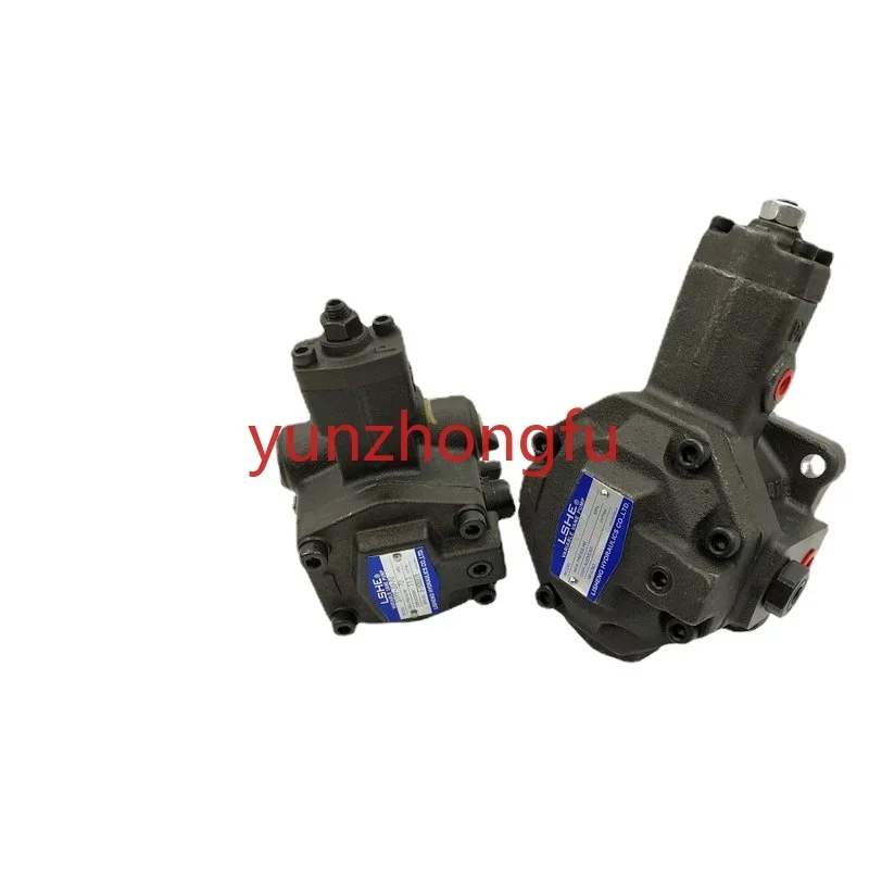 LSHE vane pump SVPF-20-35/70 Hydraulic oil pump SVPF-40/30-55/70-10S original.