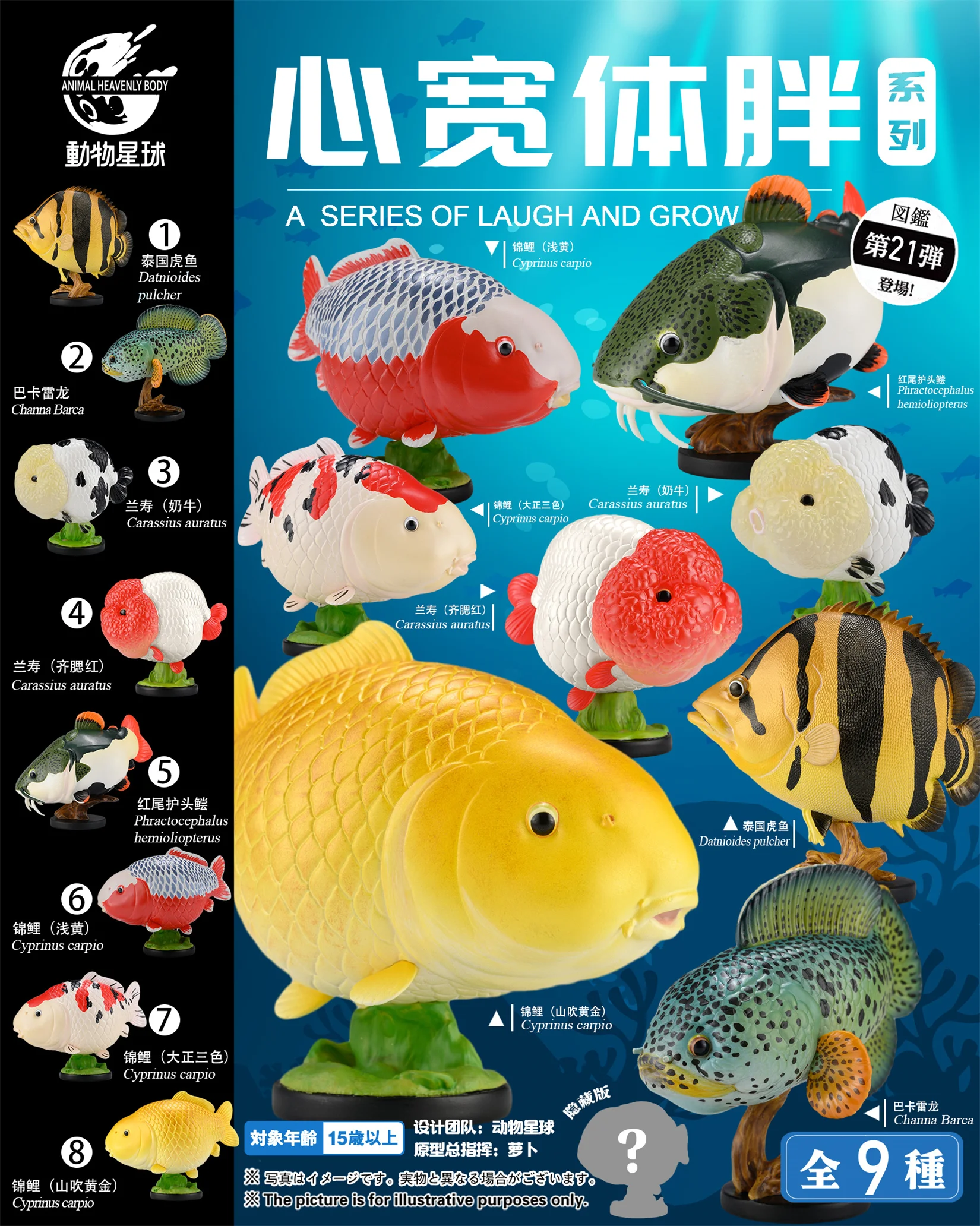 Animal Heavenly Body 21 Ornamental Fish Model Koi Ranchu Goldfish Channa Barca A Series of Laugh and Grow Fat GK Decor Toy