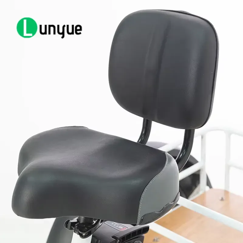 20 Inch 3 Wheel Electric Tricycle Cargo E Bike Adult Electric Trike For Delivery Shopping Heavy Duty Long Range