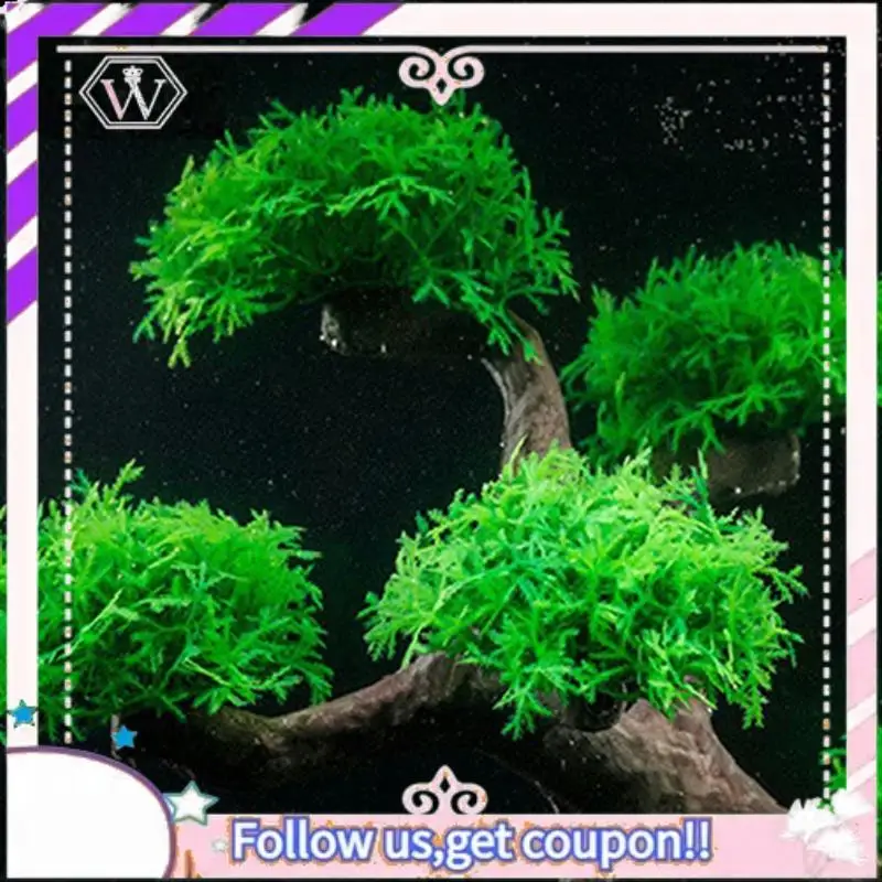 

Premium Artificial Aquatic Plant Decor Aquarium Plant Terrarium Fish Tank Ornaments Decors Fish Tank Landscaping Decor