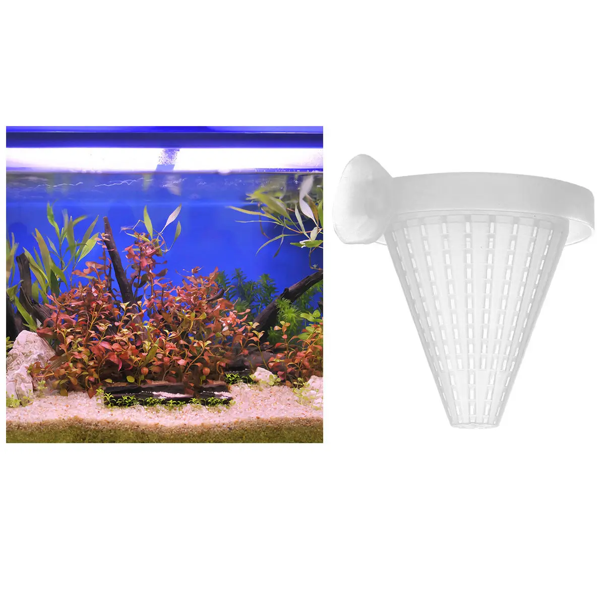 3Pcs Blood Worm Feeding Cone for Aquarium Tropical Fish Acrylic Suction Cup Fish Feeder Live Food Funnel Floating Tank Cone Worm