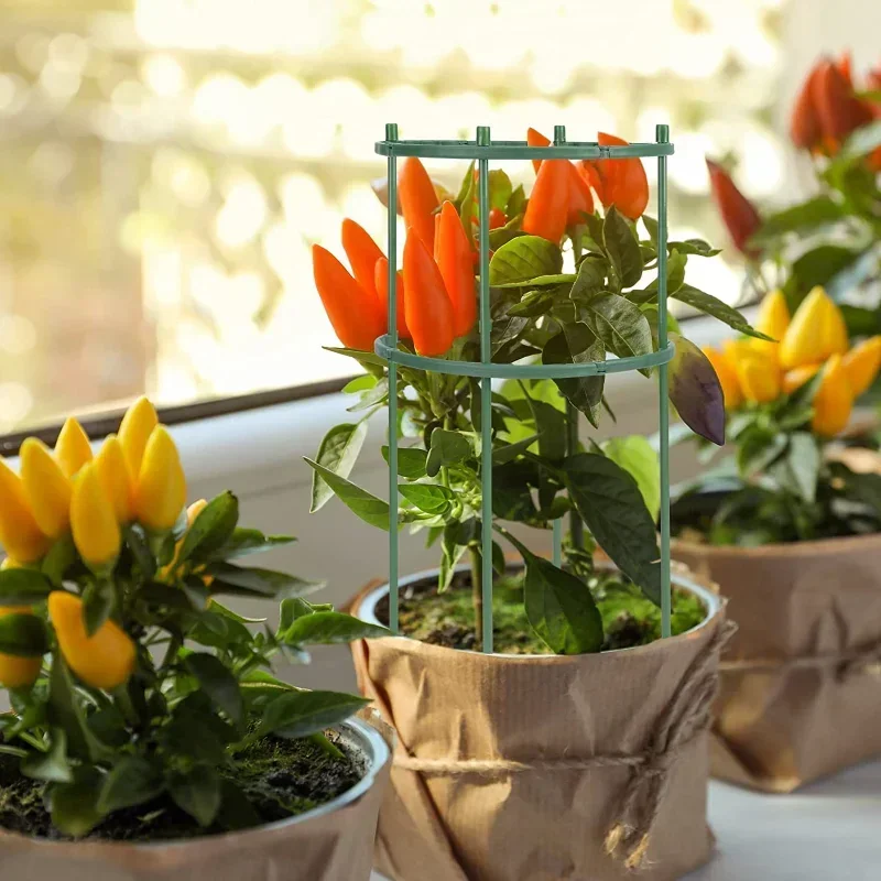 Fixing Rod Holder Garden Tools Plastic Plant Support Pile Stand Plant Support Pile for Flowers Greenhouses Arrangement