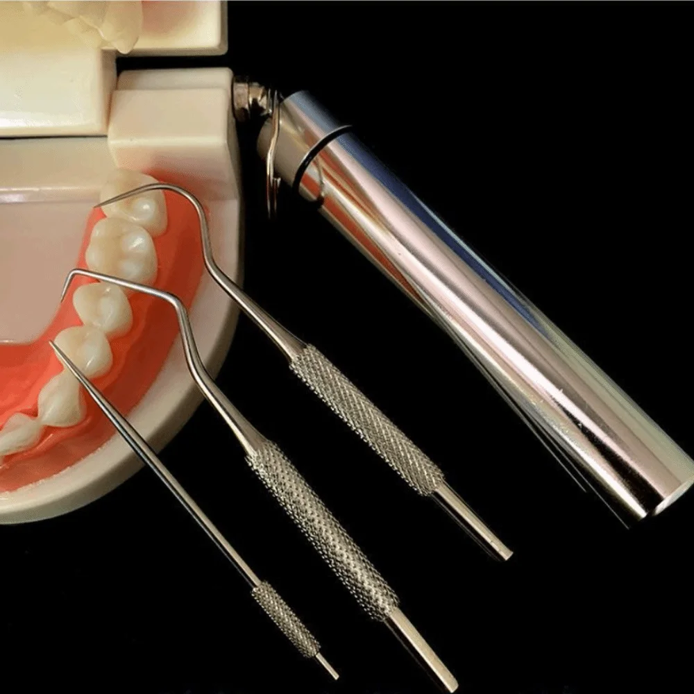 3/7pcs Stainless Steel Toothpicks Pocket Set with Storage Tube Reusable Fresh Breath Dental Flosser Durable Floss Stick