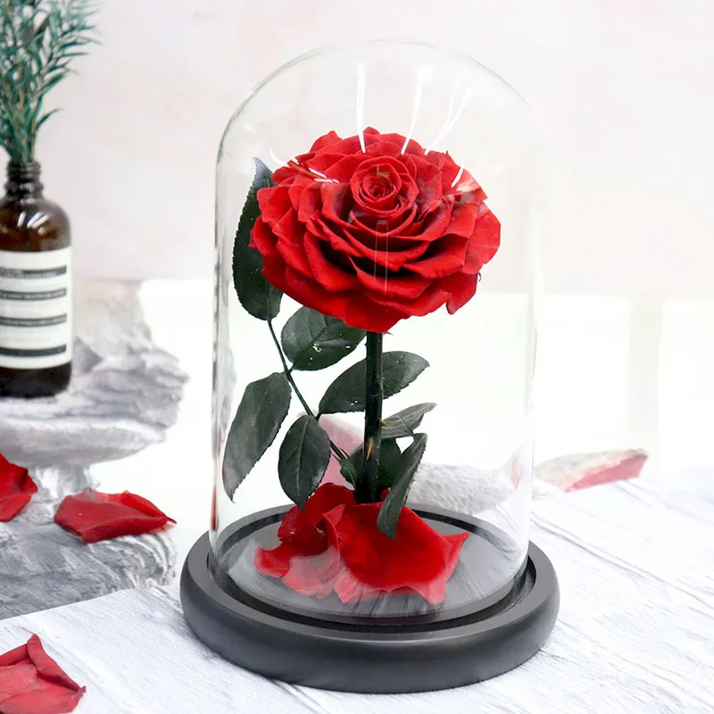 

LovTernReal Rose Immortal Flower Little Prince Gift Box Rose Glass Cover Qixi Valentine's Day Teachers'Day Christmas Gift