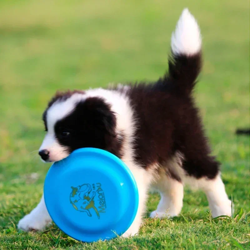 18.5cm Fashion Pet Dog Silicone Game Frisbeed Dog Toy Flying Discs Trainning Interactive Toys Pet Supplies Flying Disc