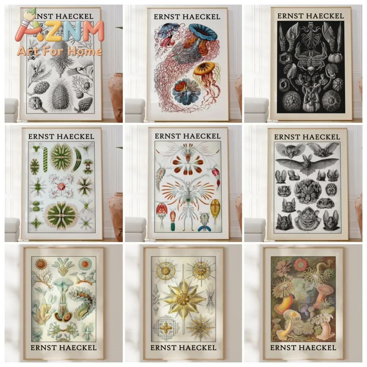Haeckel Poster Fascinating Sea Life Poster As Haeckel Wall Art - Sea Animal Prints for Your Home or As A Gift Home Decor Posters
